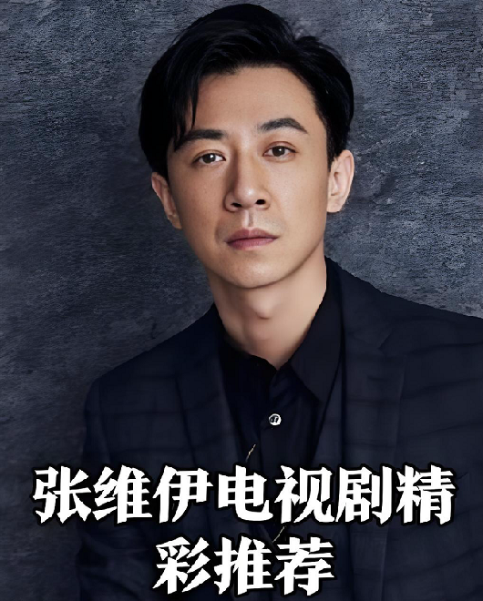 张维伊演过的电视剧